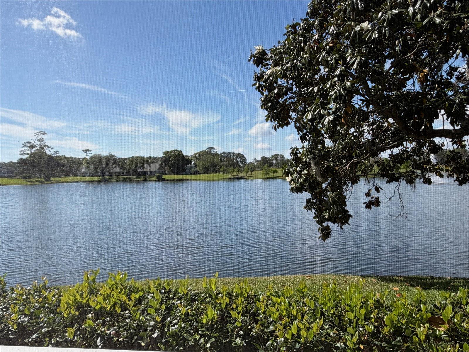 PLANTATION BAY - Residential