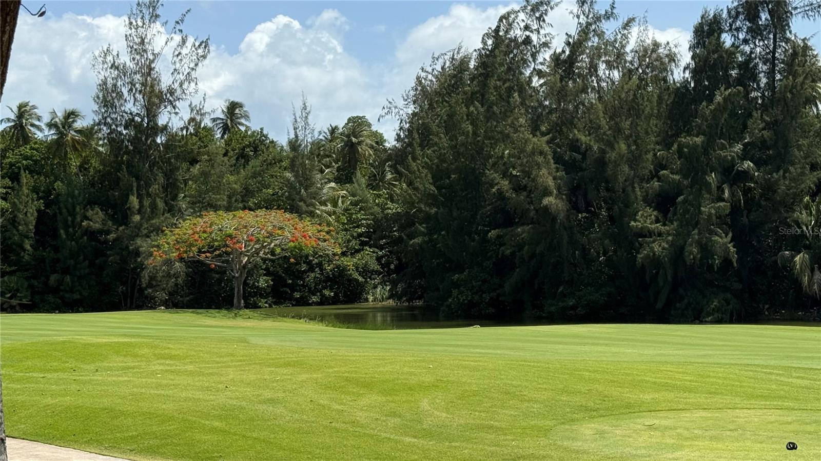 ST.REGIS BAHIA BEACH LAKE & GOLF  FRONT  RESIDENCE - Residential