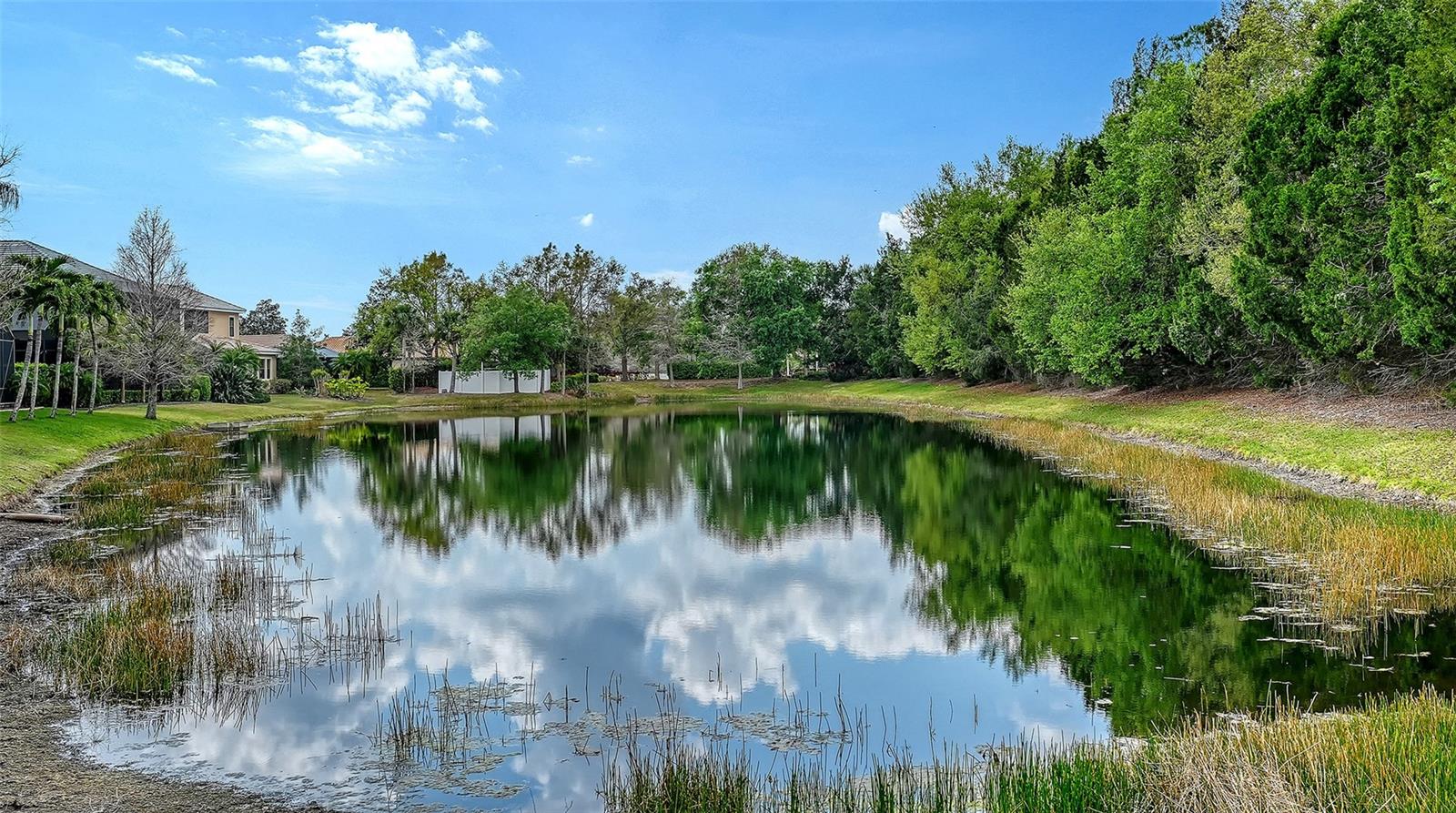 GREENBROOK PRESERVE - Residential