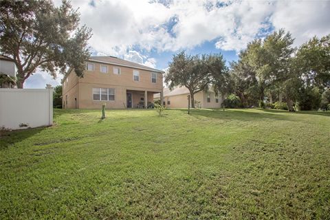 A home in MOUNT DORA