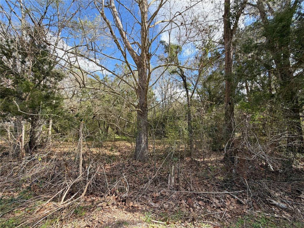 Photo of 13201 SW Archer Lane, Archer, FL 32618 (MLS # GC538100)