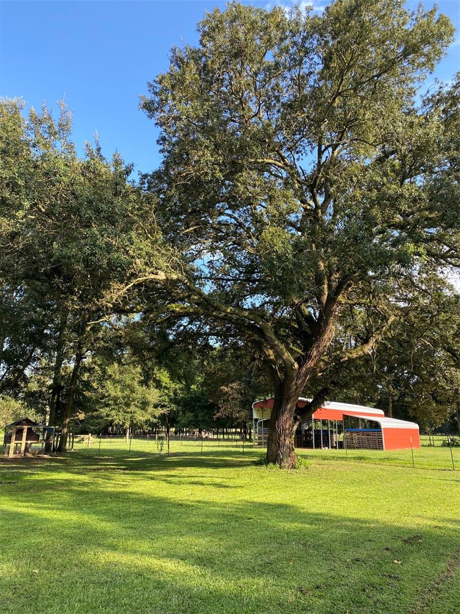 NOT IN SUBDIVISION - Residential