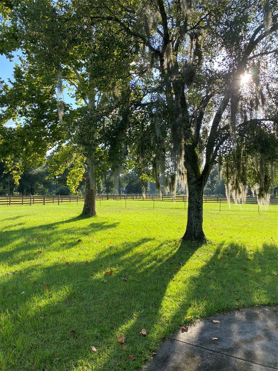 NOT IN SUBDIVISION - Residential
