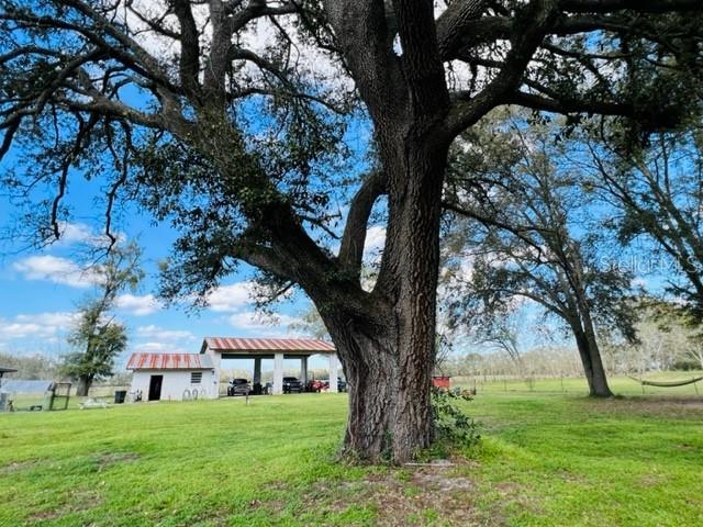 NOT IN SUBDIVISION - Residential
