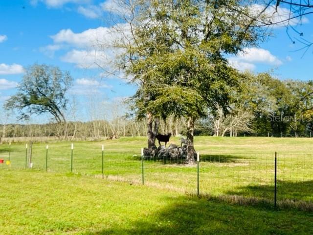 NOT IN SUBDIVISION - Residential