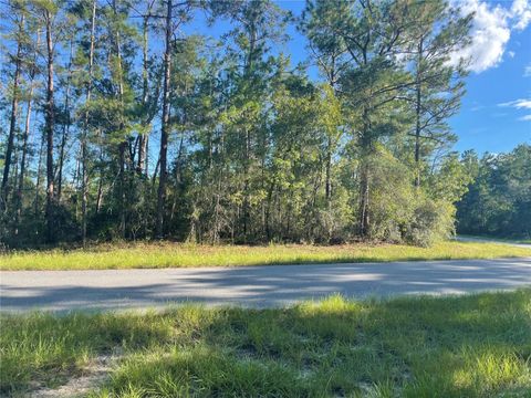 Photo of SW 35 Terrace Road, Ocala, FL 34476 (MLS # OM725179)
