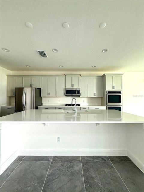 Tiny photo for 394 Switchgrass Loop, Minneola, FL 34715 (MLS # TB8436760)