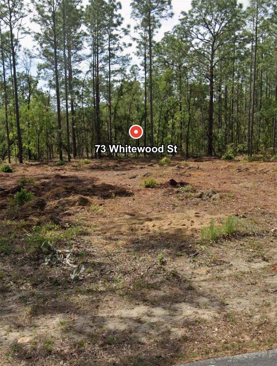 Discover the perfect opportunity to build your custom Florida dream home on this beautiful 120 x 120 Lot, nestled on a quiet street in the desirable, deed-restricted community of Sugarmill Woods – Cypress Village in Homosassa. With a land survey already completed and public utilities available, this homesite is ready for construction. Sugarmill Woods offers a rare combination of peaceful living and vibrant outdoor adventure, surrounded by lush landscapes and located just minutes from Homosassa Springs Wildlife State Park, natural springs, boating, fishing, hiking trails, and more. Residents enjoy top-tier amenities including private golf courses, a clubhouse, swimming pool, fitness center, tennis courts, and playgrounds, fostering a welcoming and active lifestyle. As one of the Nature Coast’s most established and growing communities, it also offers quick access to the Suncoast Parkway, making commutes to Tampa and the international airport a breeze. Don’t miss your chance to own a slice of paradise in this scenic Florida gem—call today or have your agent reach out for more details!