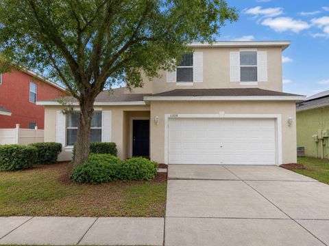 Photo of 11228 Madison Park Drive, Tampa, FL 33625 (MLS # O6420442)