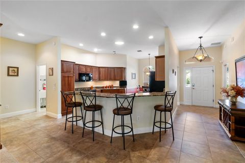 Tiny photo for 1797 Pamplico Court, The Villages, FL 32162 (MLS # G5111522)