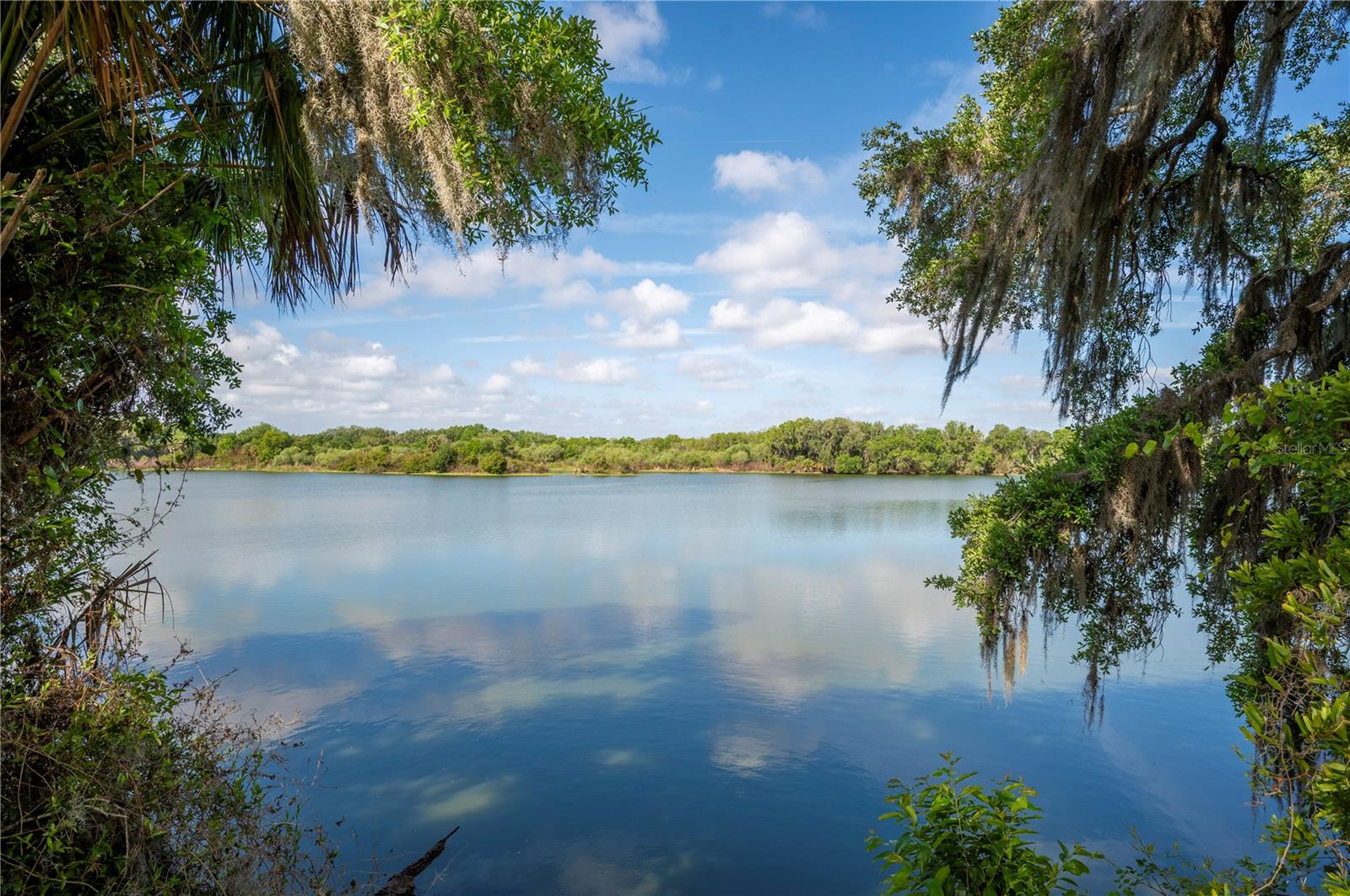 RESERVE AT FAIRWAY OAKS - Residential