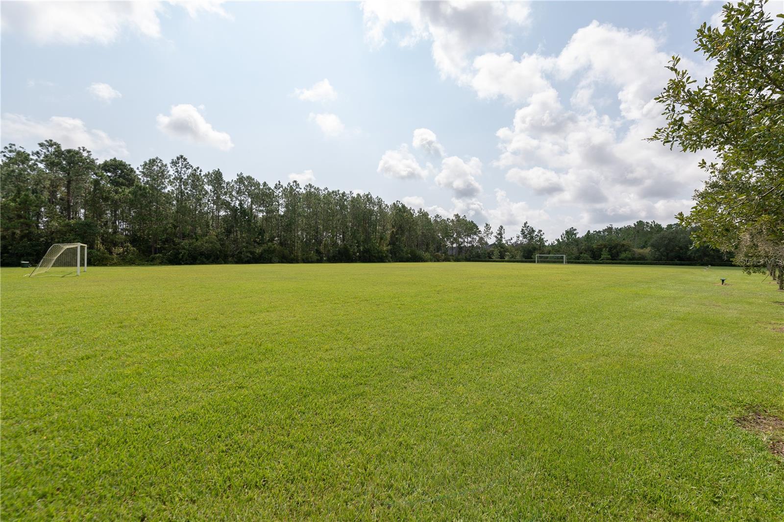 VILLAS AT HERITAGE PARK - Residential