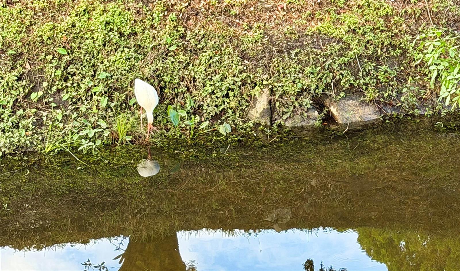 SUNSET PALMS UNREC - Residential