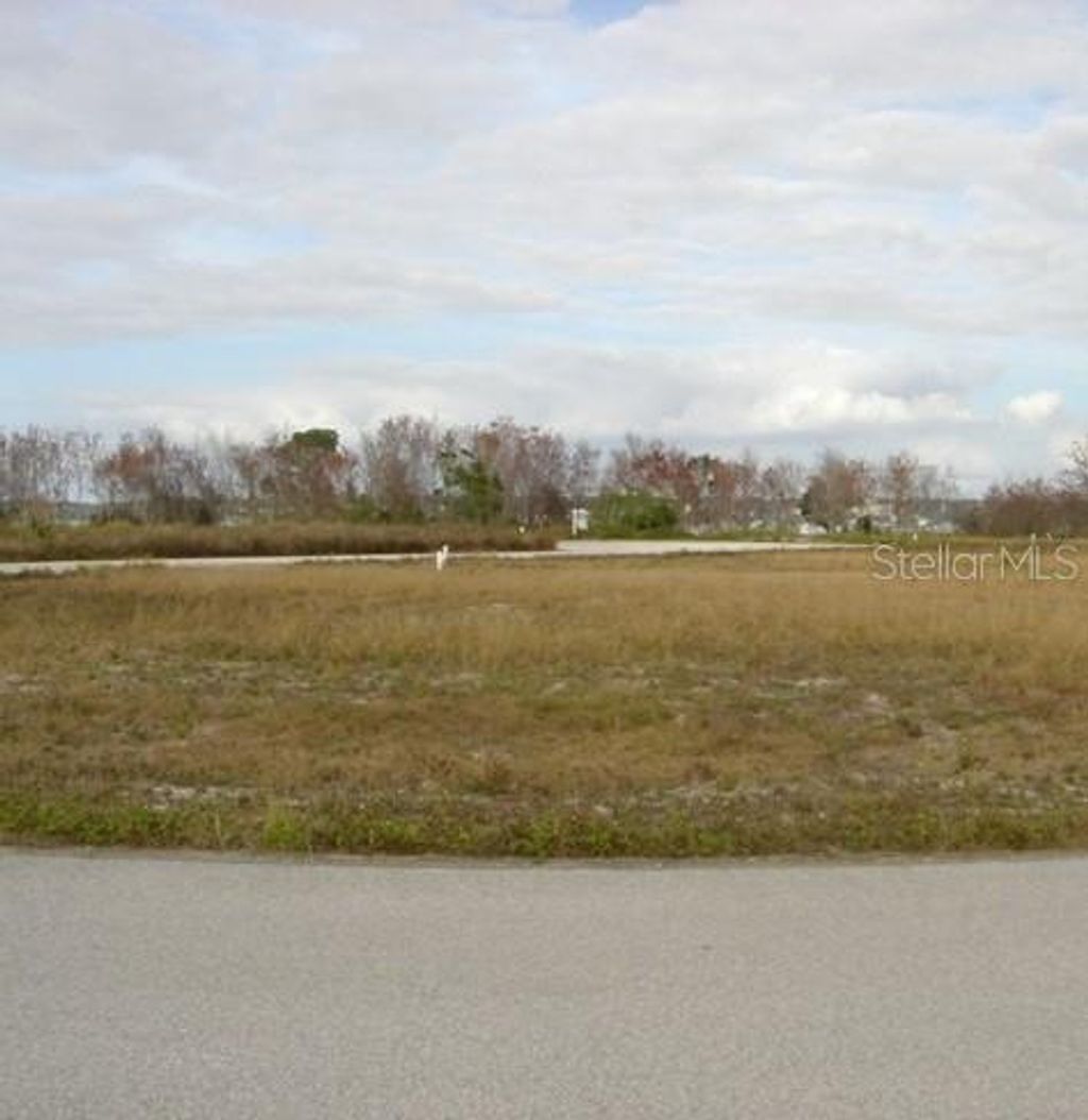 Photo of Sawgrass Run, Tavares, FL 32778 (MLS # R4907403)