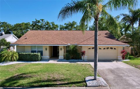 1599 MCAULIFFE LANE PALM HARBOR FL 34683
