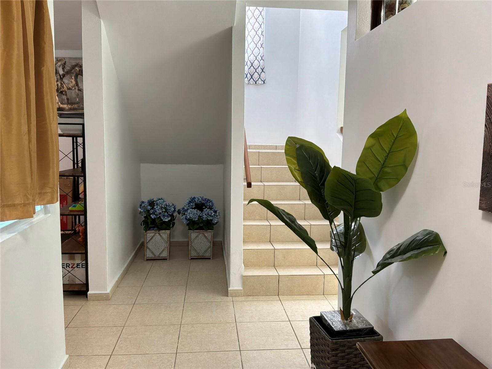 Dalia 525 ESTANCIAS DEL BOSQUE