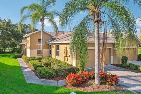 A home in SUN CITY CENTER