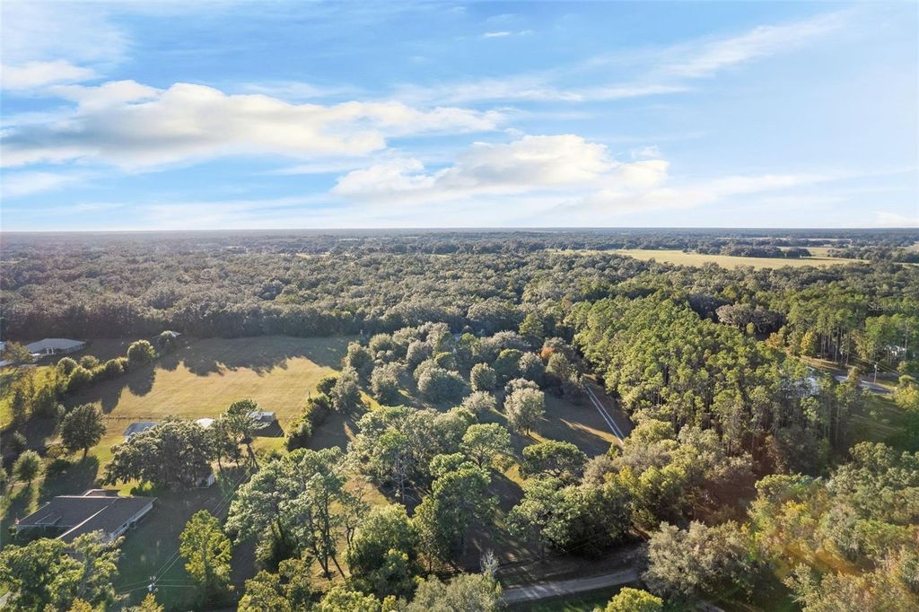 Photo of 17325 Palamino Lake Drive, Dade City, FL 33523 (MLS # TB8447569)