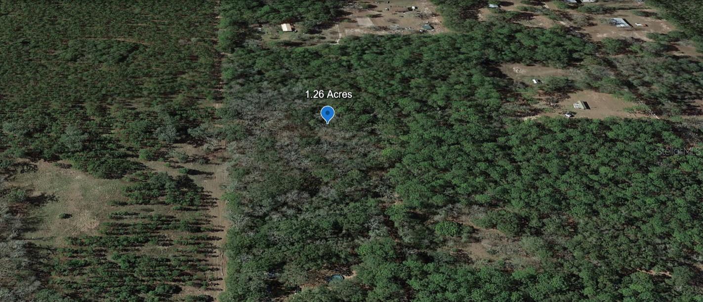 Listing image 1