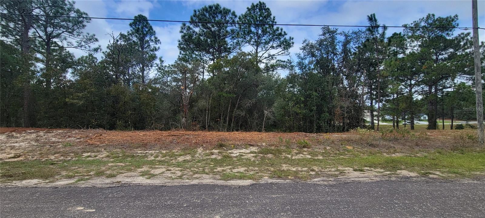 9172 N MARCUS WAY