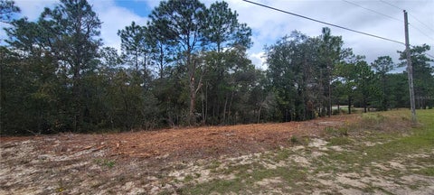 Photo of 9172 N Marcus Way, Dunnellon, FL 34433 (MLS # OM734965)