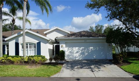 2325 BROOKFIELD GREENS CIRCLE 41 SUN CITY CENTER FL 33573