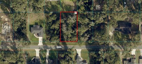 SE 123RD PLACE BELLEVIEW FL 34420