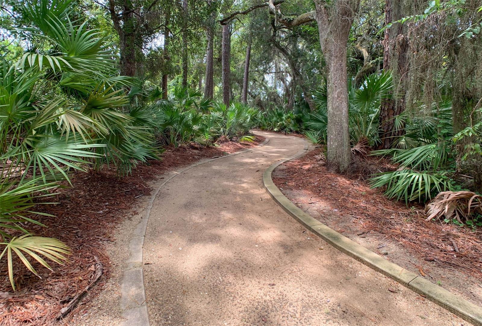 VILLAGES PALM COAST PH 1 - Land