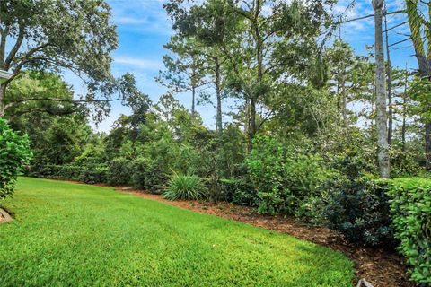 A home in MOUNT DORA