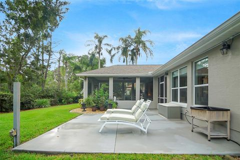 A home in MOUNT DORA