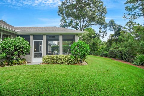 A home in MOUNT DORA