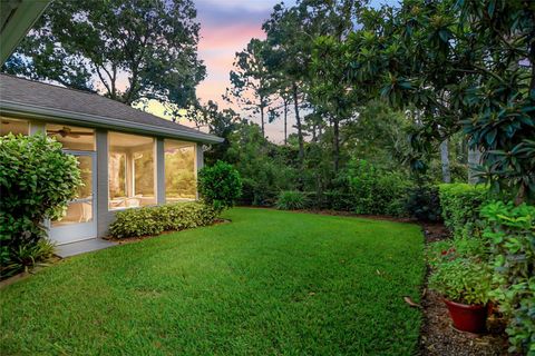 A home in MOUNT DORA