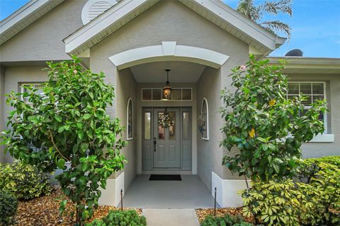 A home in MOUNT DORA