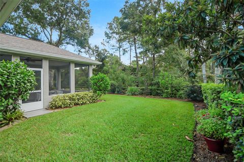 A home in MOUNT DORA