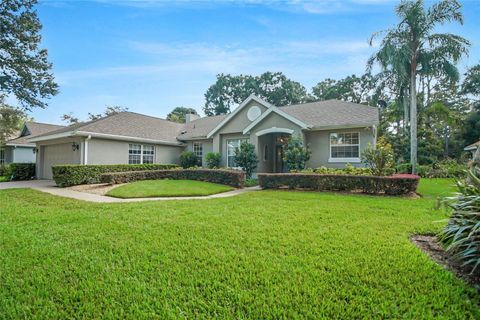 A home in MOUNT DORA