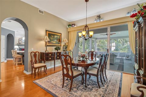 A home in MOUNT DORA