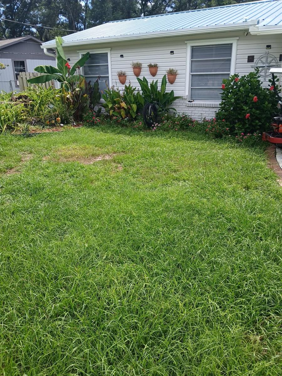 FAIRFAX HILLS - Residential