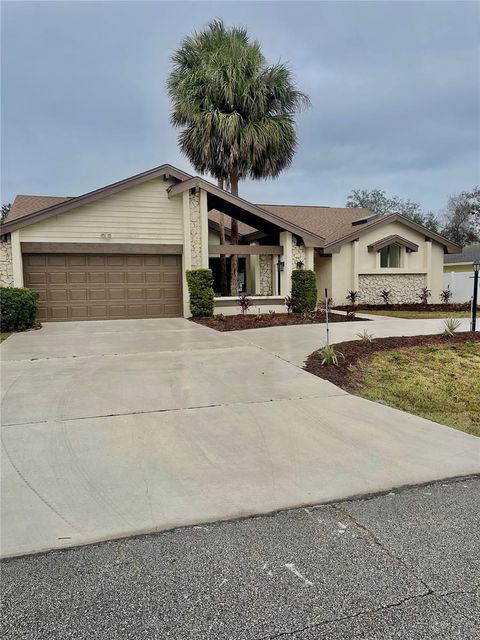 A home in PALM COAST