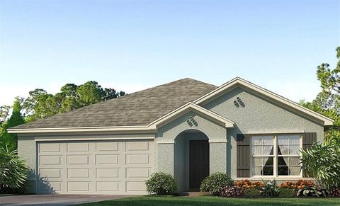 Photo of 810 Will Scarlett Avenue, Ruskin, FL 33570 (MLS # O6400971)