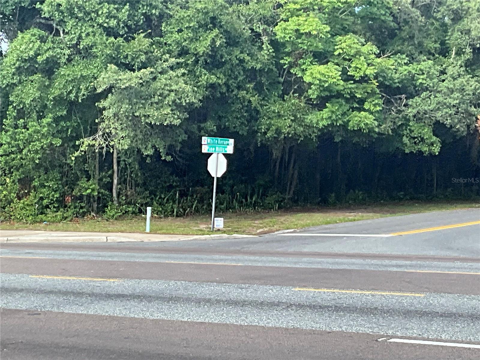 N PINE HILLS ROAD