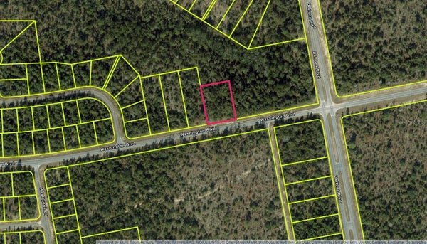 WASHINGTON BLVD, CHIPLEY, FL 32428 - Image 1900eb7b8df92e45b795a087e387fa4b/903475143