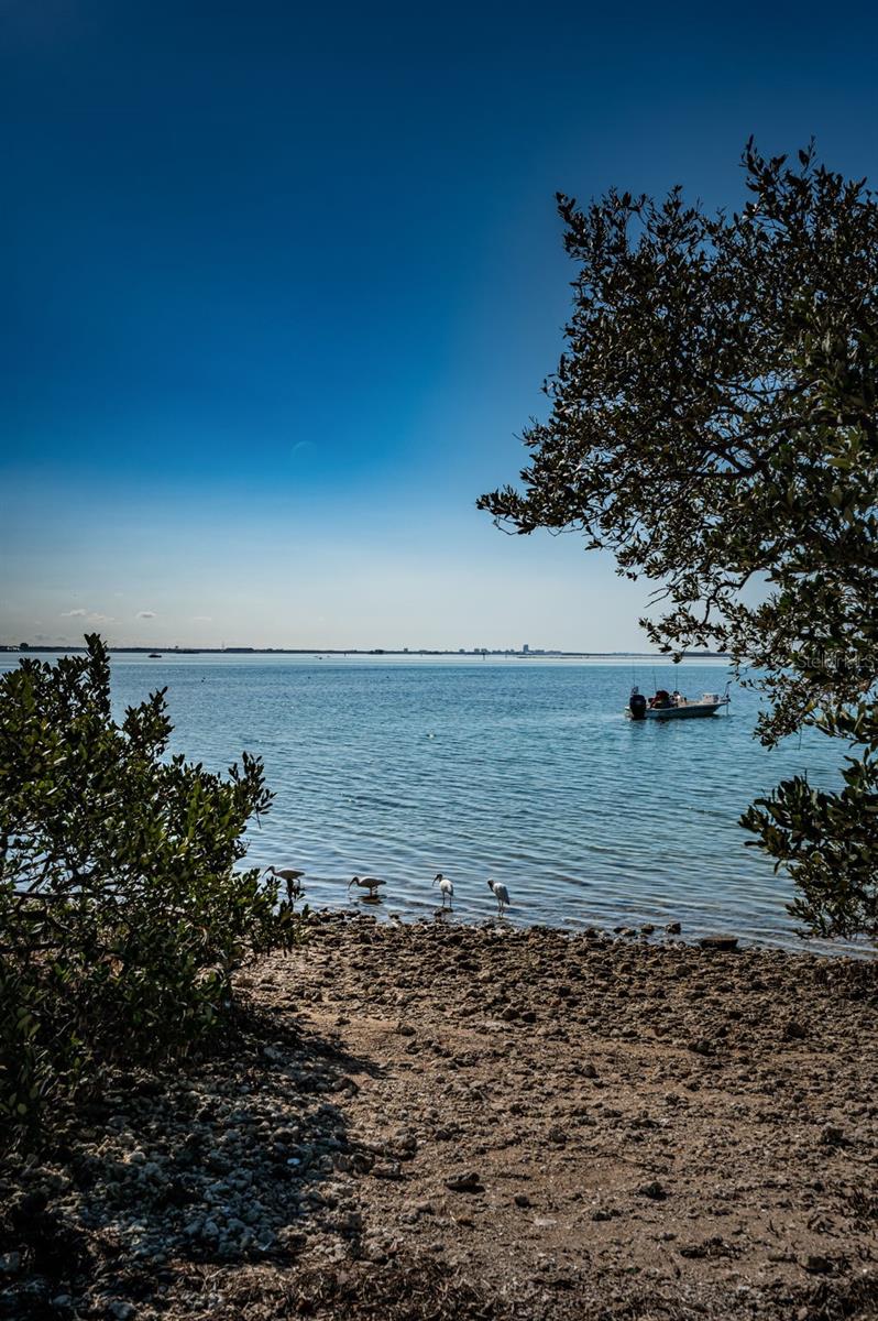 ROYAL STEWART ARMS - Residential