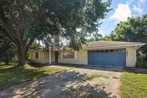 A home in DELTONA