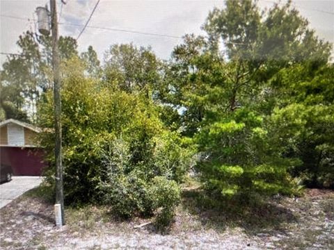 3394 ST. JAMES DELTONA FL 32738