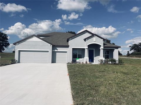 Photo of 10182 White Magnolia Square, Thonotosassa, FL 33592 (MLS # O6358404)