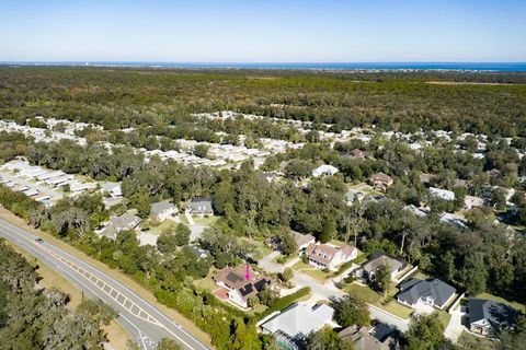 A home in FLAGLER BEACH