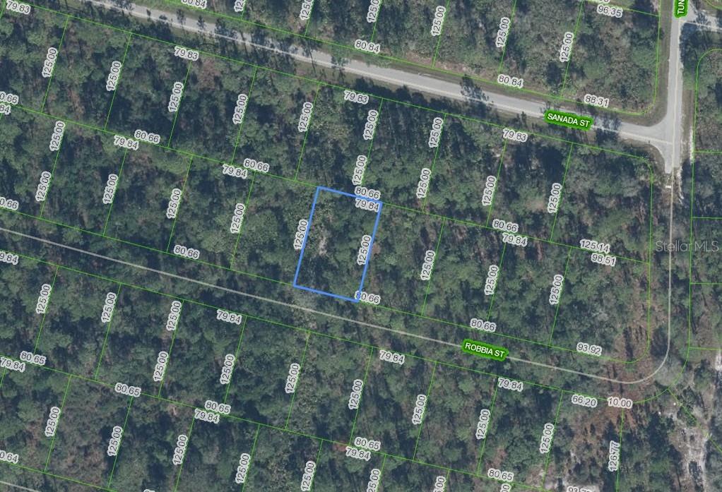 Photo of 8604 Robbia Street, Sebring, FL 33872 (MLS # P4940129)