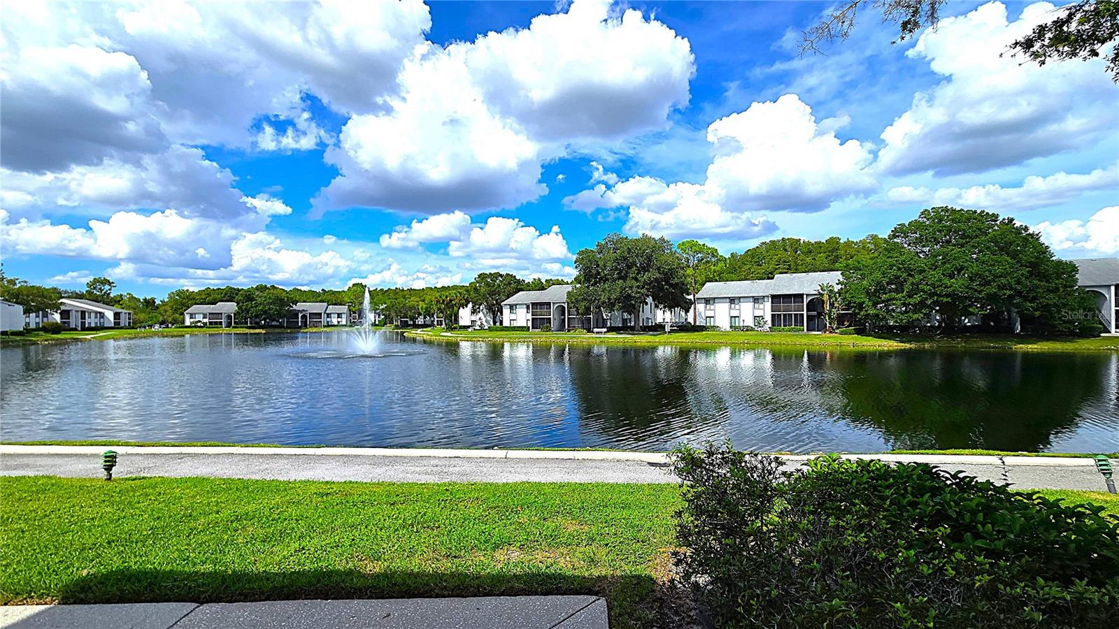 PINE RIDGE AT LAKE TARPON VILLAGE - Residential