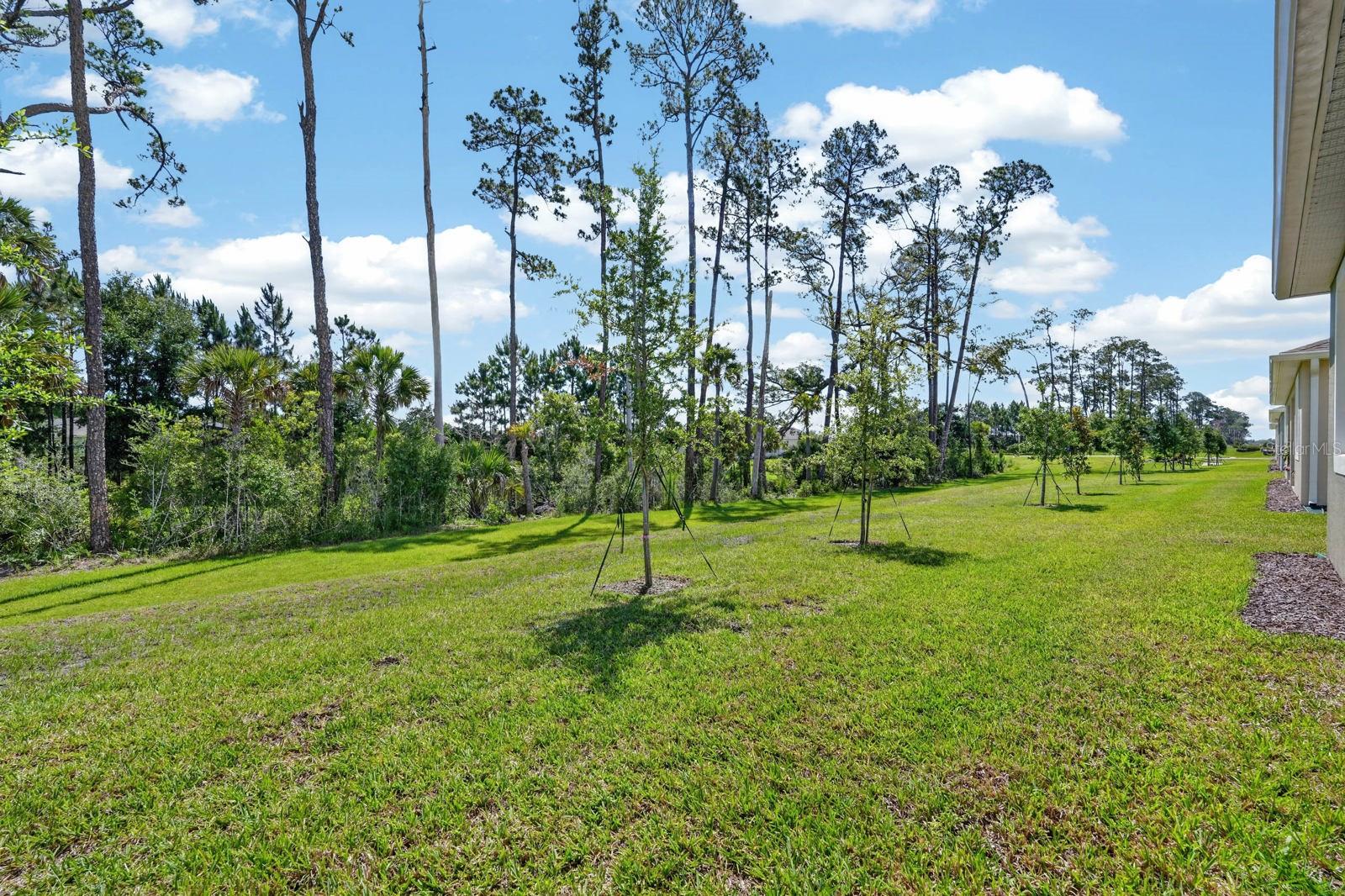HALIFAX PLANTATION PH 5 SEC O - Residential