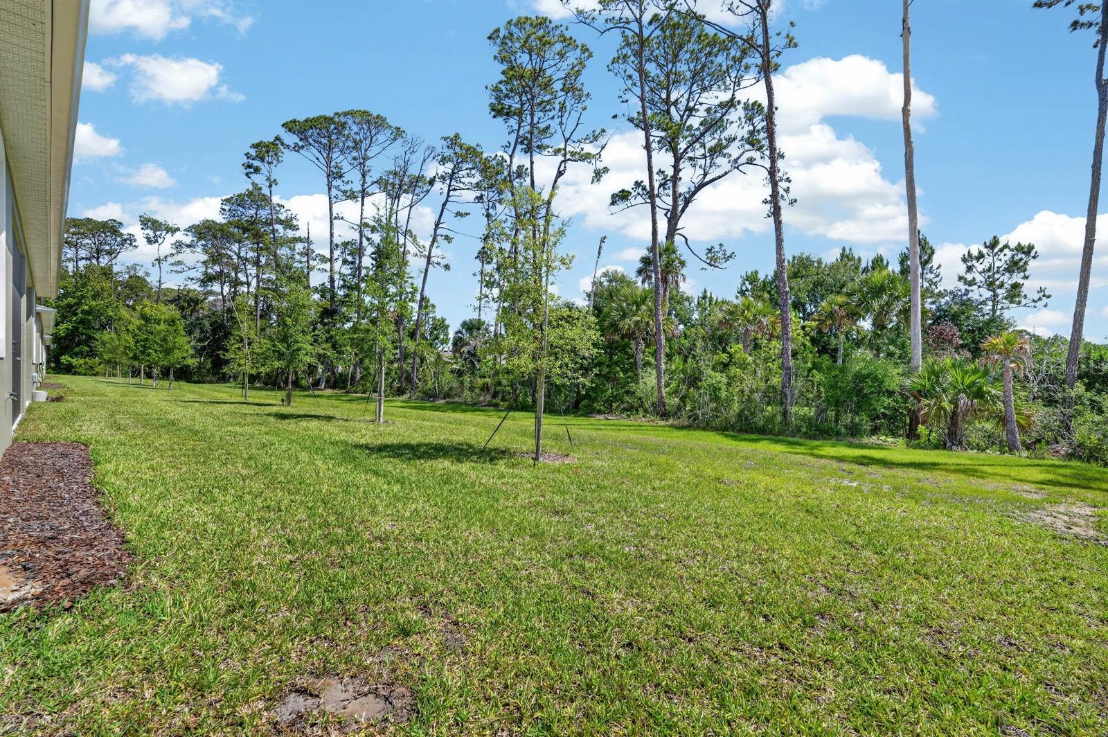 HALIFAX PLANTATION PH 5 SEC O - Residential